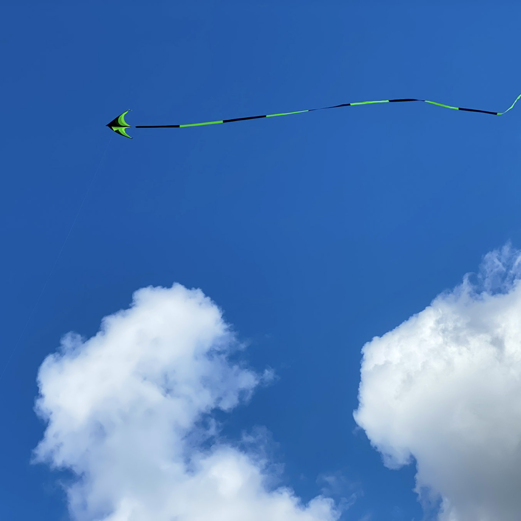 IMG_9401-kite