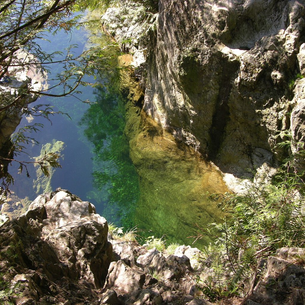 DSCN7579