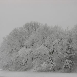 DSCN1404