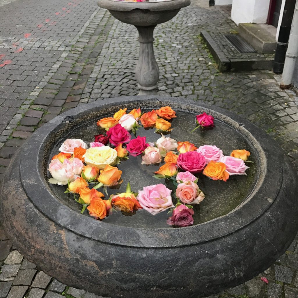 IMG_3104